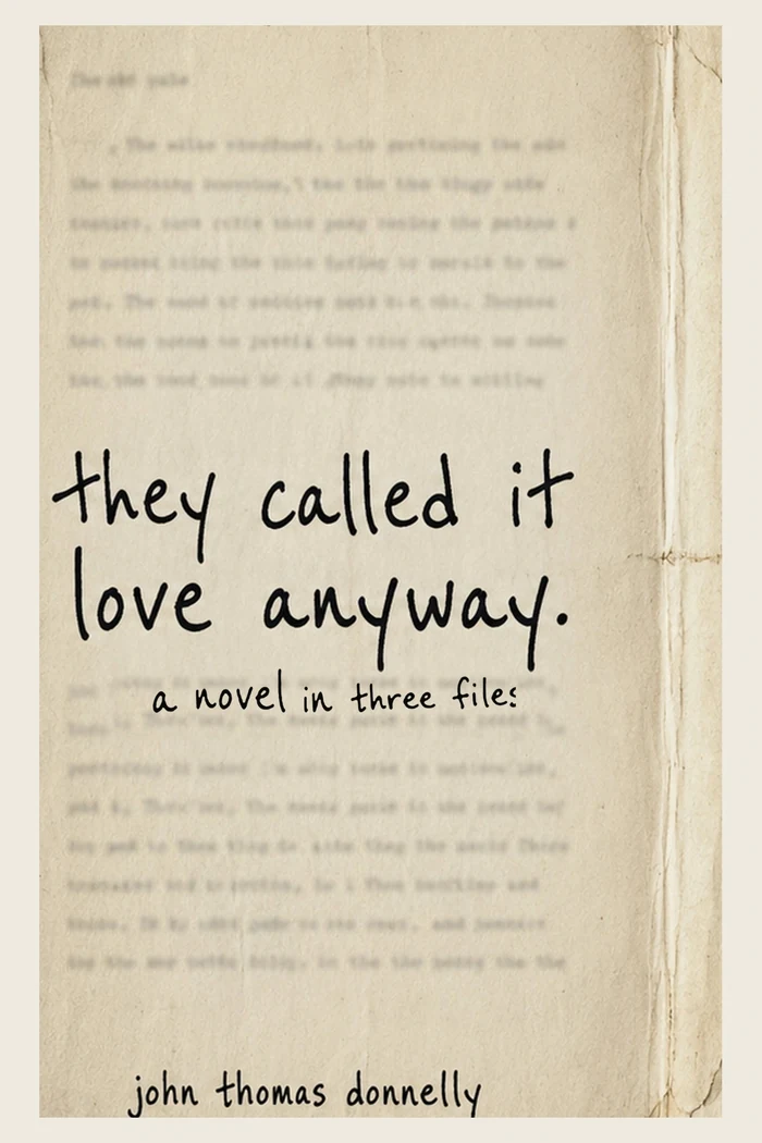 Cover of They Called It Love Anyway by John Thomas Donnelly